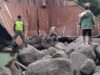 Banjir Bandang Landa Sumut, DPRD Sumut : Dampak Pemerintah dan Swasta, Lakukan Reboisasi Besar-besaran di Sumatera Utara